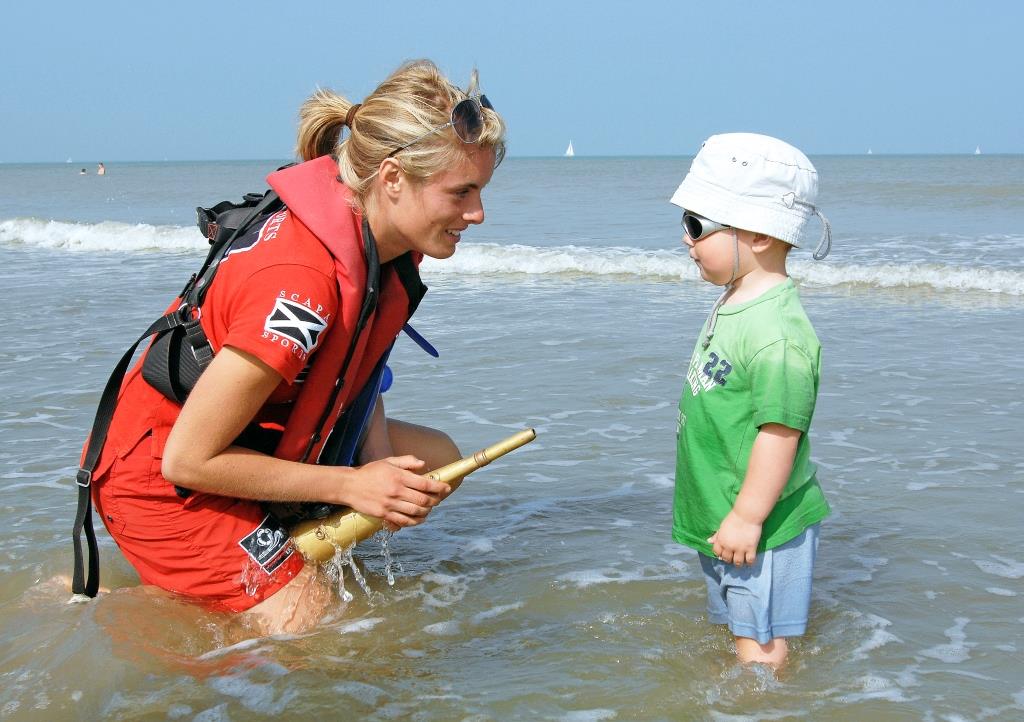 De Panne beach