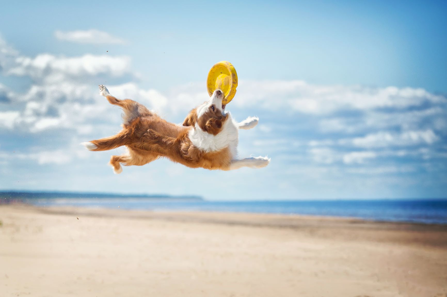 residential sports camps