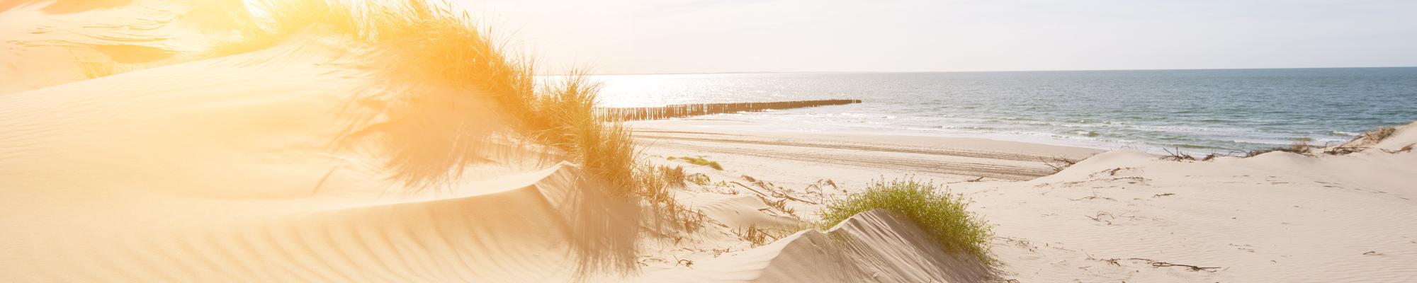 jeugdkampen in groep aan zee